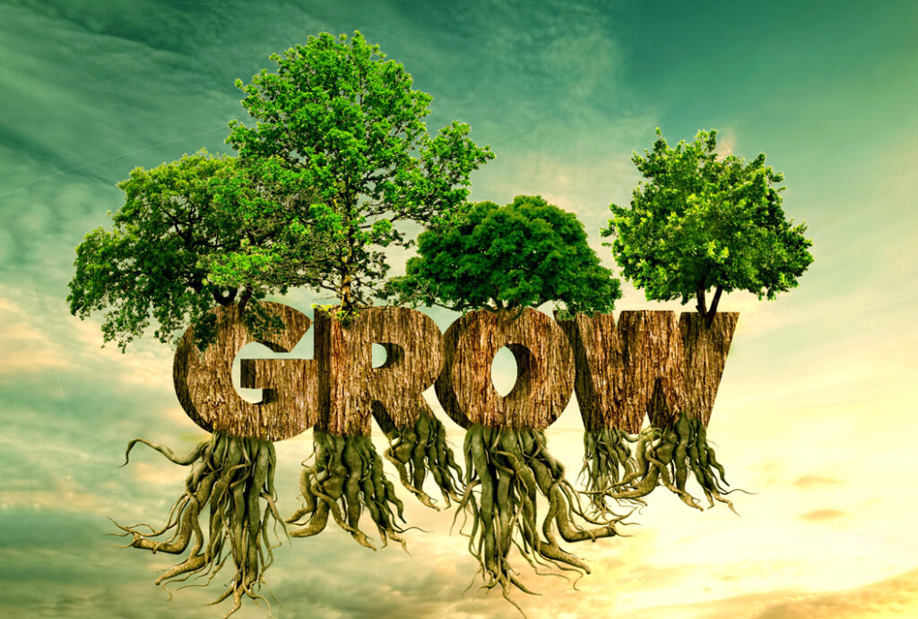 Проект „Подкрепа на творци“